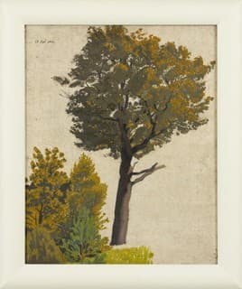 © J.F. Willumsen / VISDA